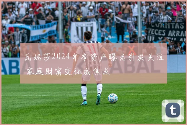 瓦妮莎2024年净资产曝光引发关注 家庭财富变化成焦点