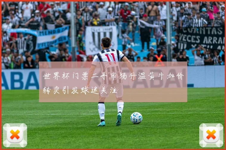 世界杯门票二手市场升温黄牛加价转卖引发球迷关注
