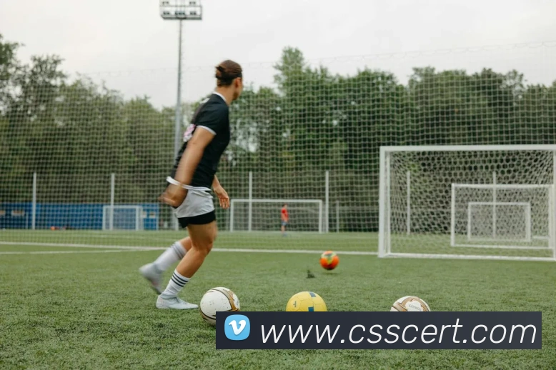 九游网官网入口平台生态图