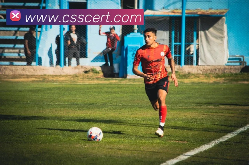 九游网官网入口APP 封面图